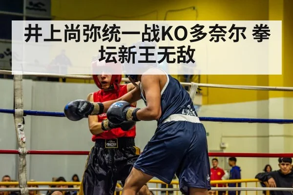 井上尚弥统一战KO多奈尔 拳坛新王无敌