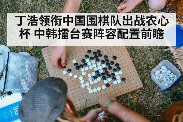 Go board game stones